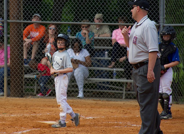 仅为众多篮 仅为众多篮